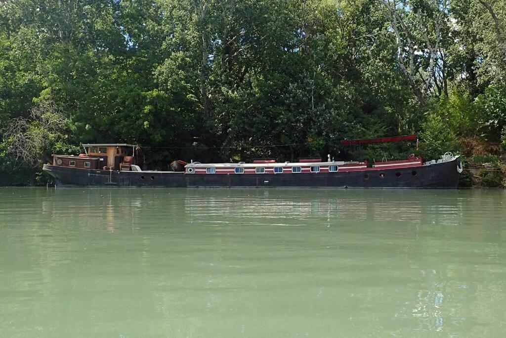 Peniche Odilia Διαμέρισμα Αβινιόν Εξωτερικό φωτογραφία